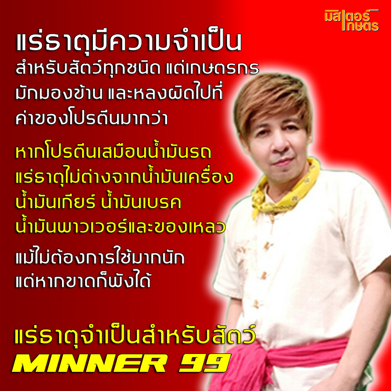 มินเนอร์99 "Minner99" แร่ธาตุจำเป็นสำหรับสัตว์